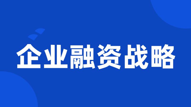 企业融资战略