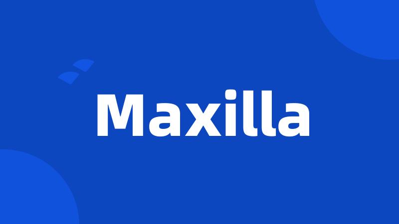 Maxilla