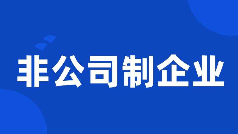 非公司制企业