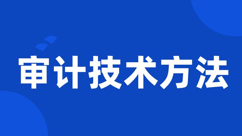 审计技术方法