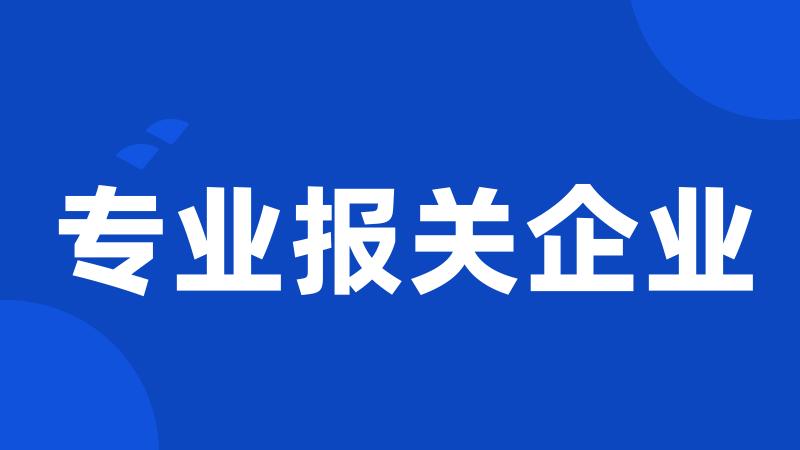 专业报关企业