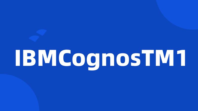 IBMCognosTM1