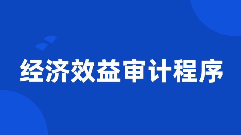 经济效益审计程序