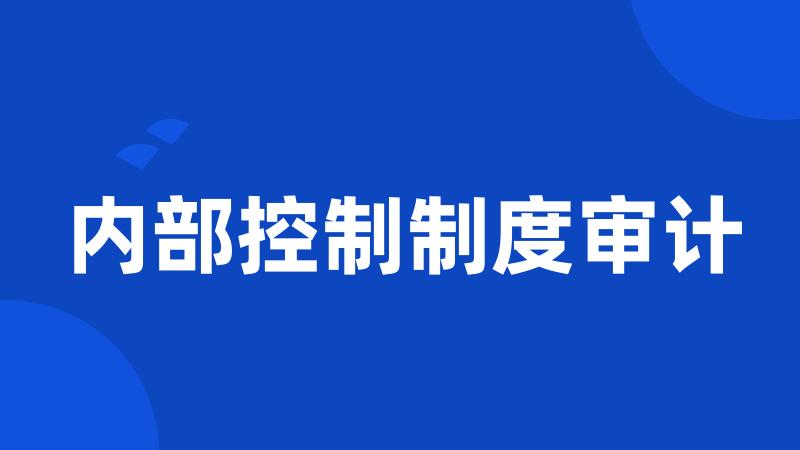 内部控制制度审计