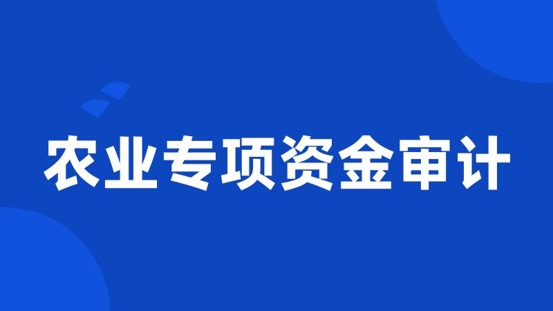 农业专项资金审计