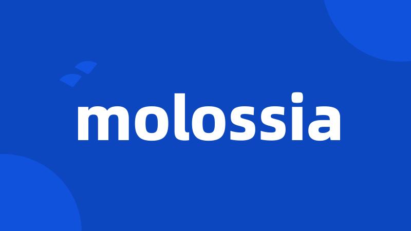 molossia