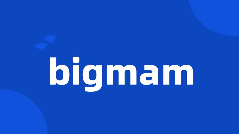 bigmam