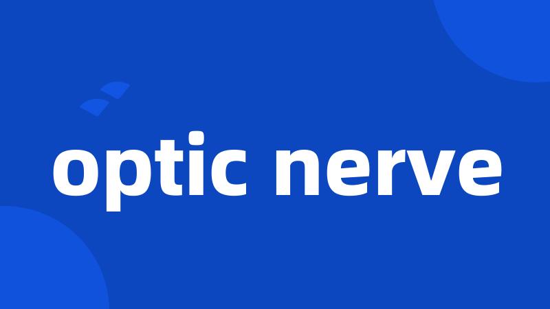 optic nerve