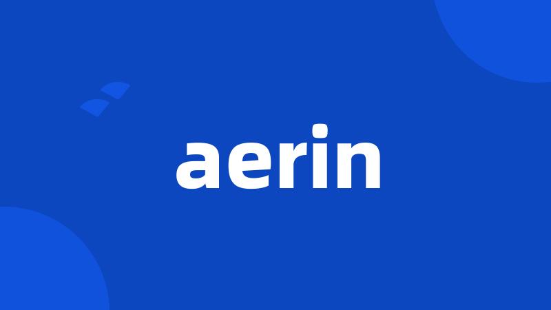 aerin