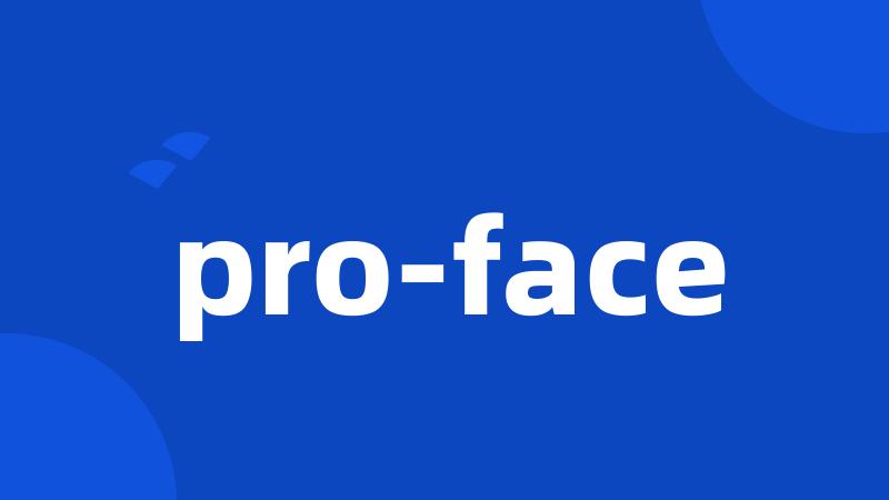 pro-face