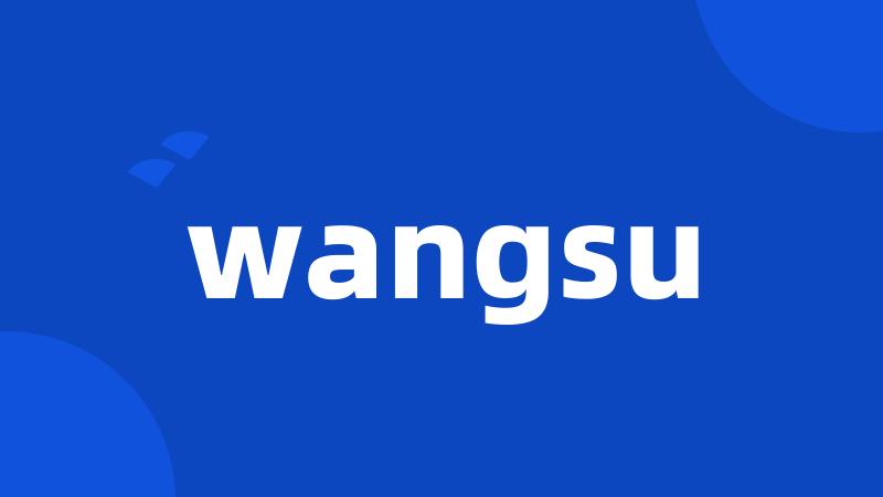 wangsu