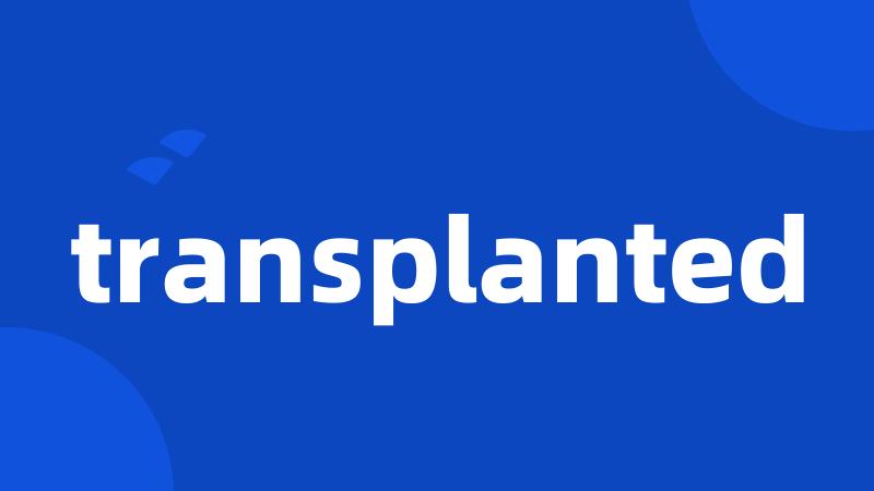 transplanted