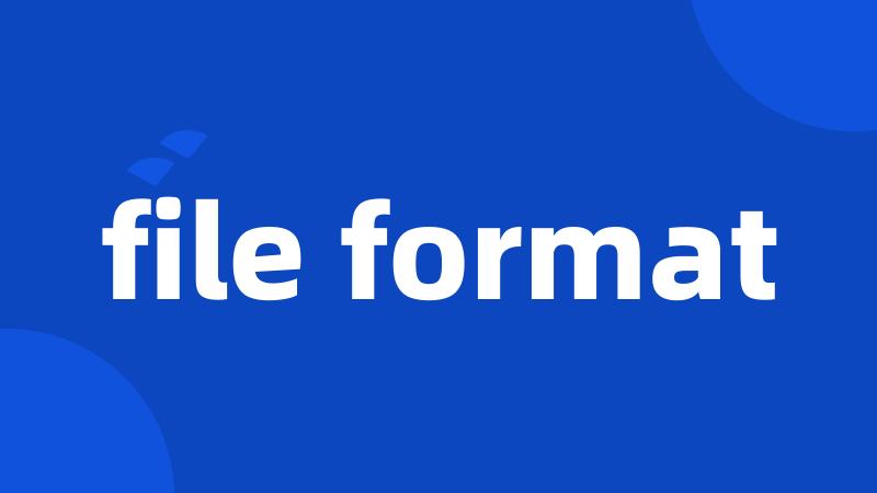 file format