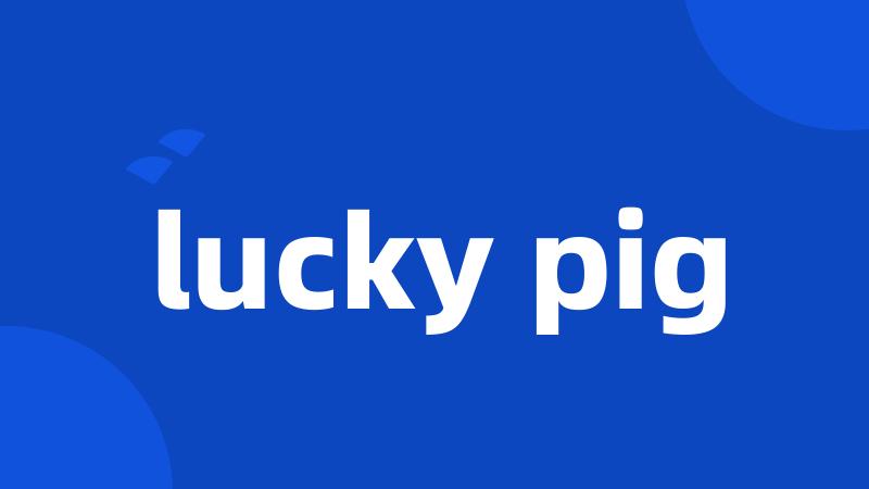 lucky pig