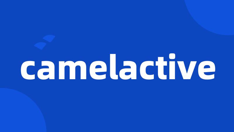 camelactive