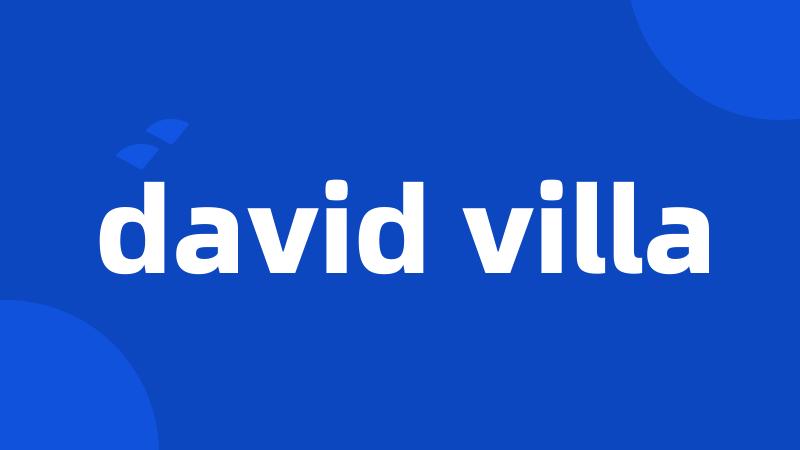 david villa