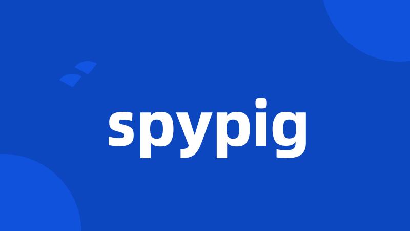 spypig