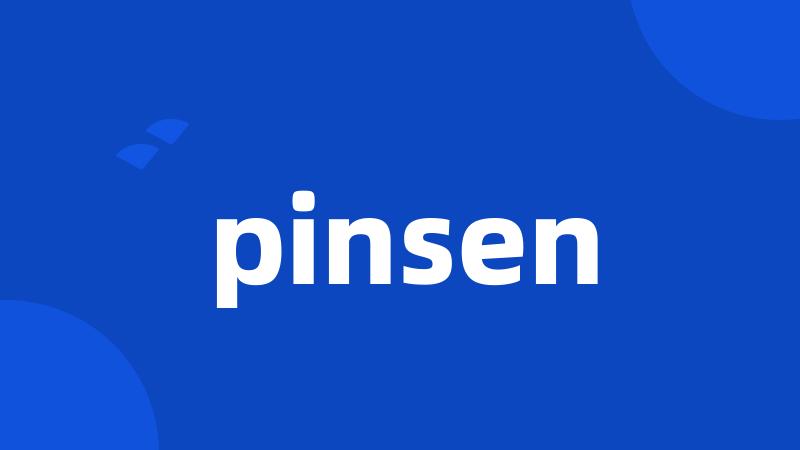 pinsen