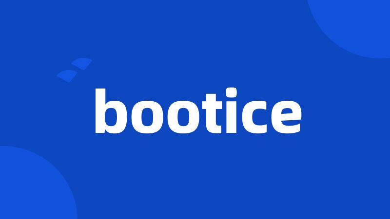 bootice