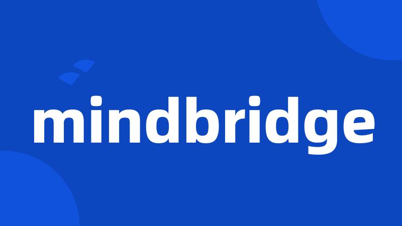 mindbridge