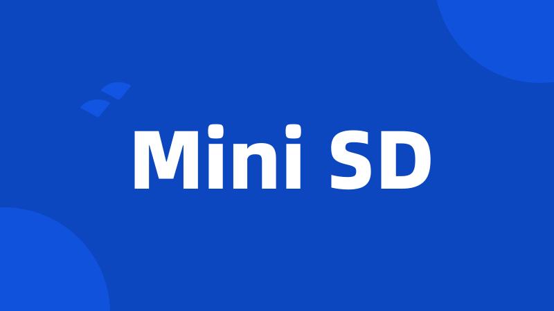 Mini SD