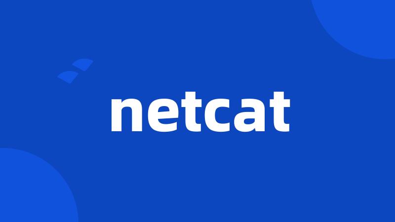 netcat