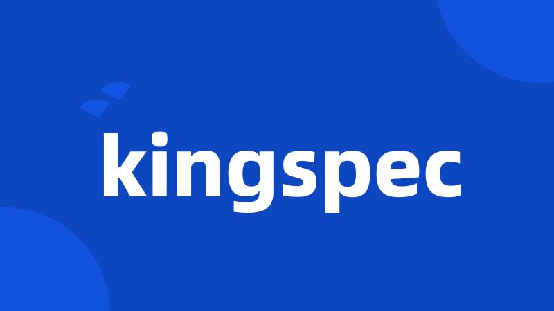 kingspec