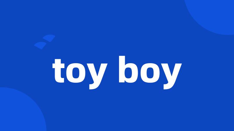 toy boy