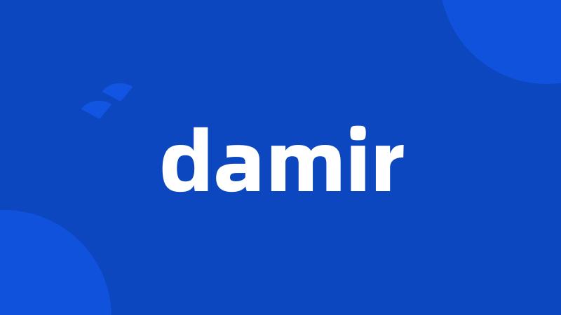 damir