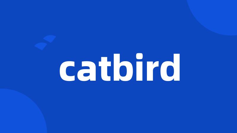 catbird