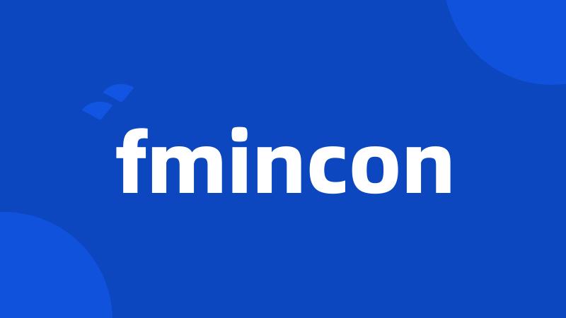 fmincon