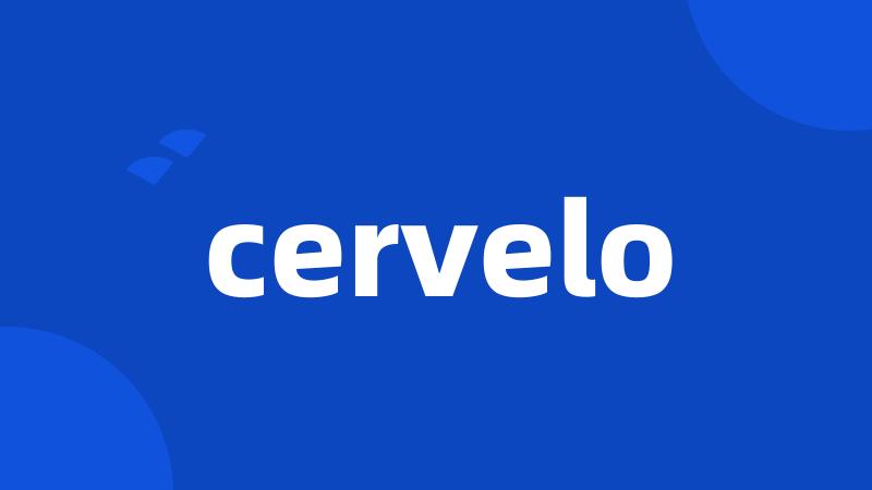 cervelo