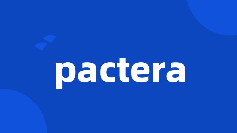 pactera