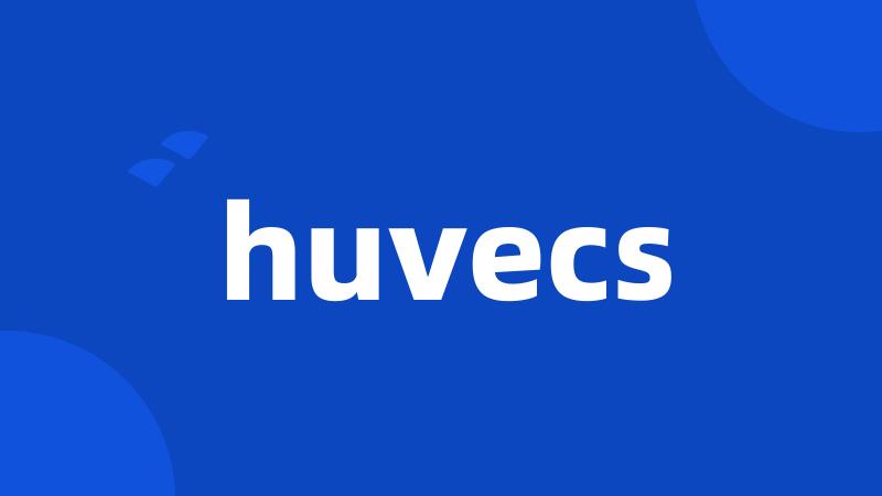 huvecs