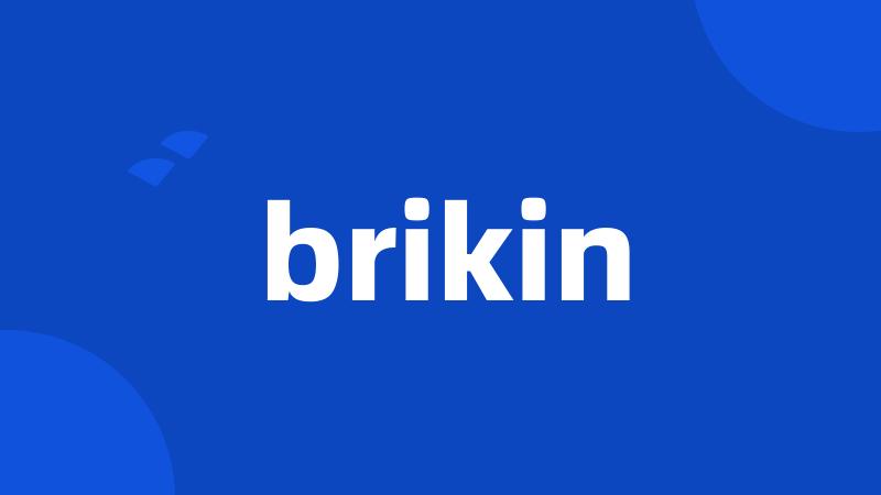 brikin