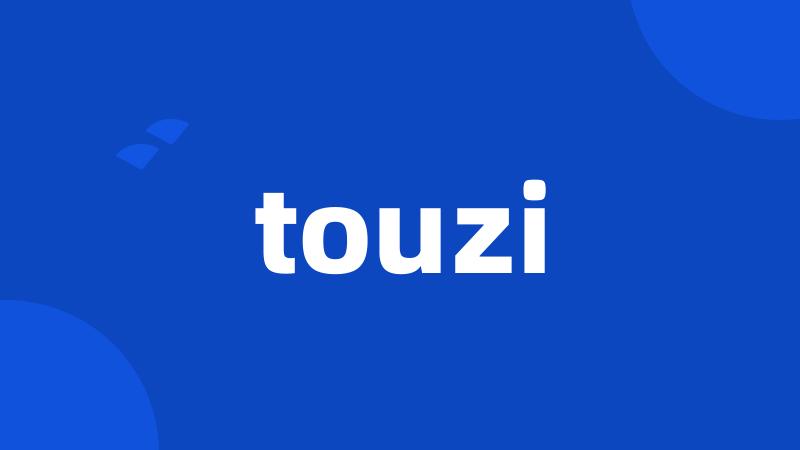 touzi