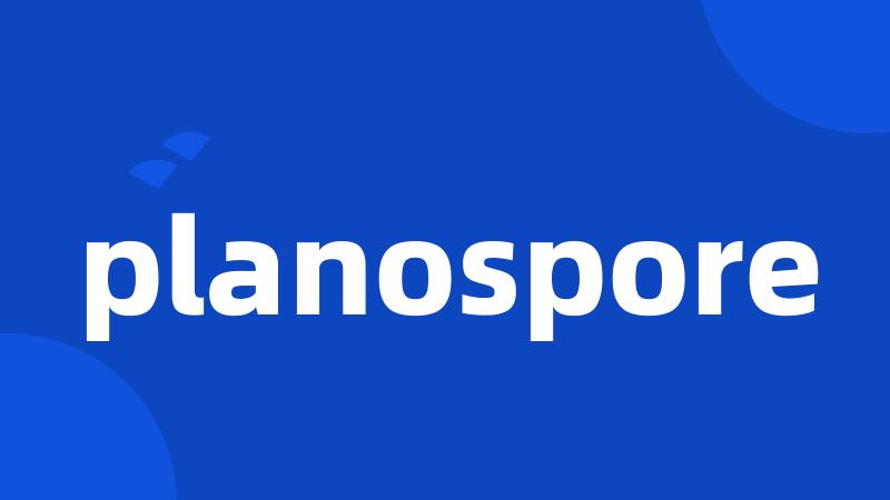 planospore