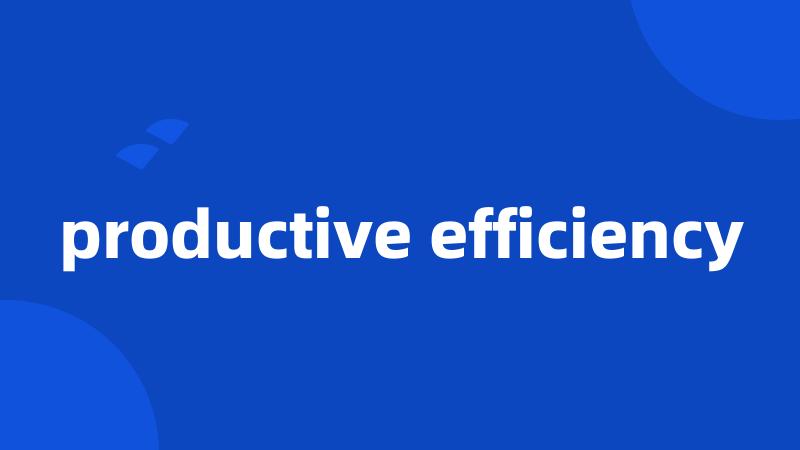 productive efficiency