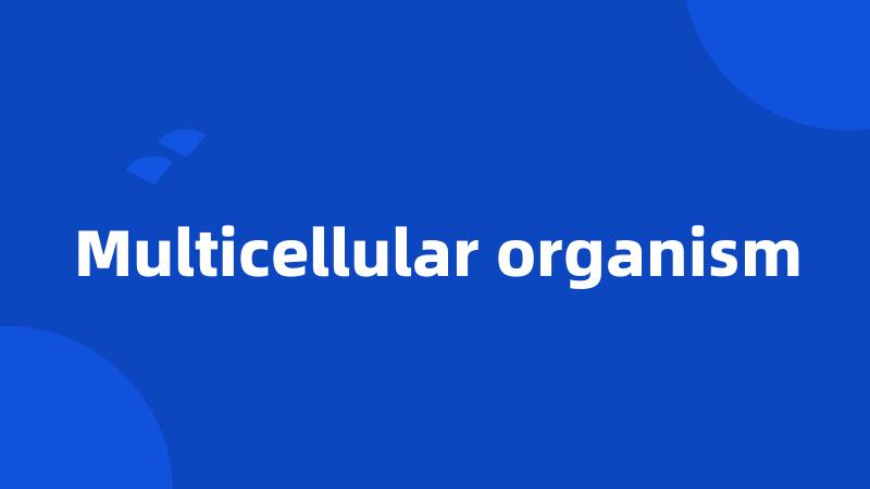 Multicellular organism