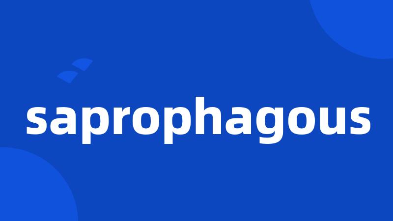 saprophagous