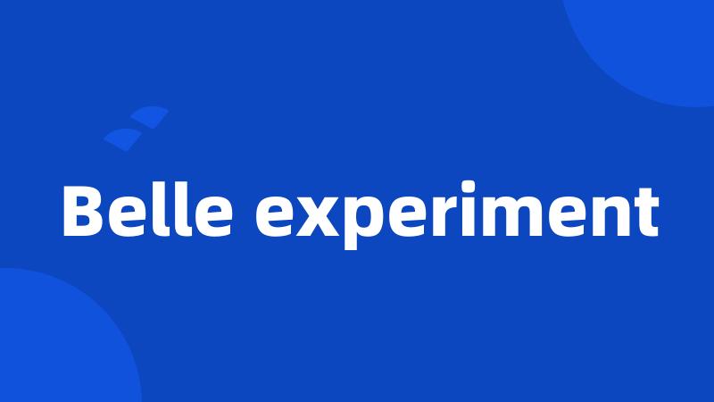 Belle experiment