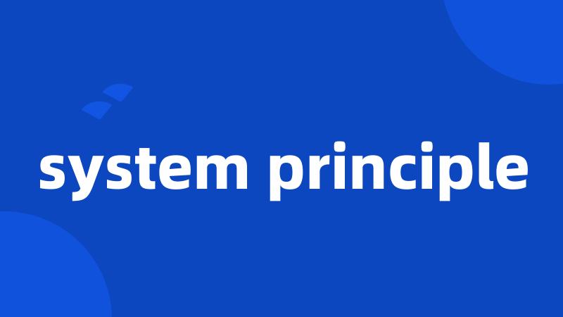 system principle