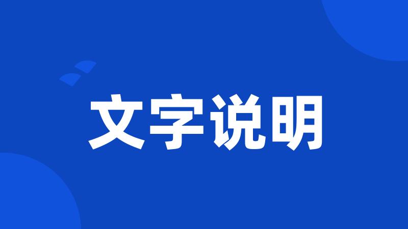 文字说明