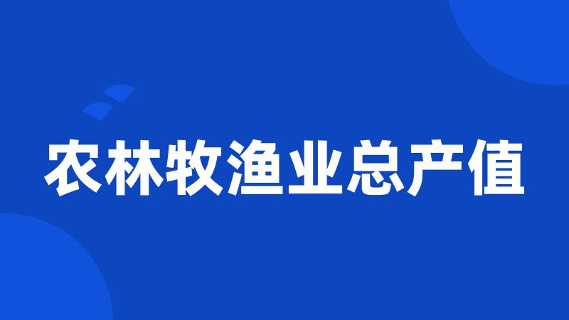 农林牧渔业总产值