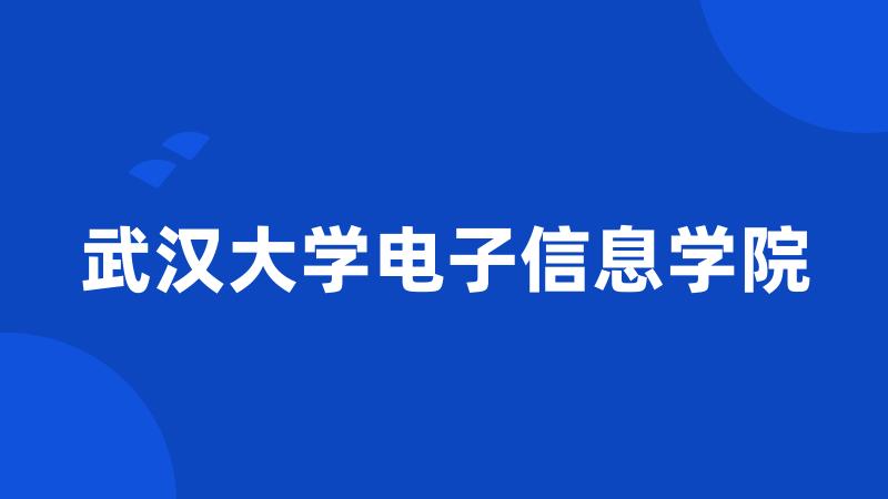 武汉大学电子信息学院