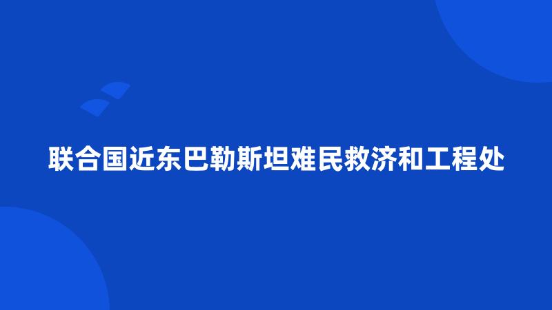 联合国近东巴勒斯坦难民救济和工程处