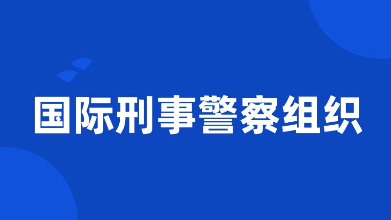 国际刑事警察组织