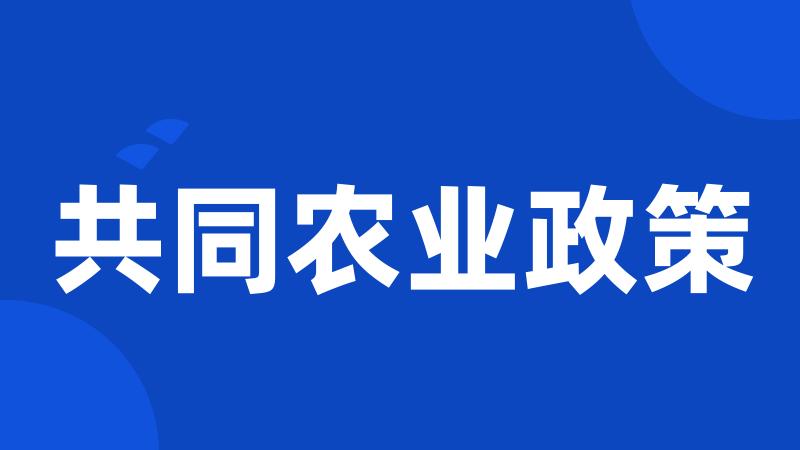 共同农业政策