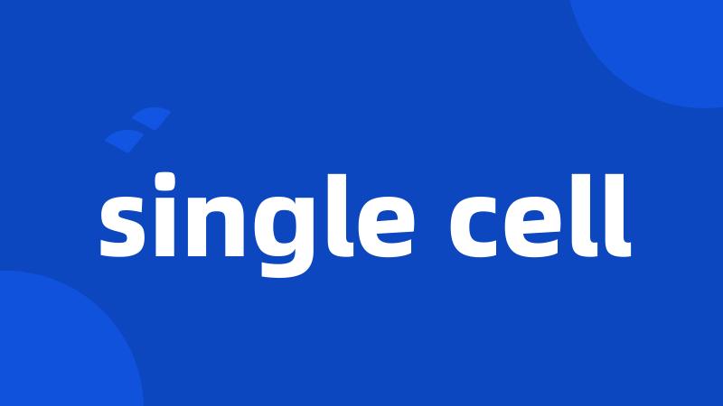 single cell