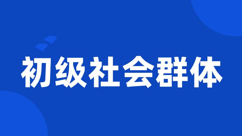 初级社会群体